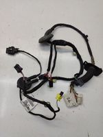 Audi A6 S6 C7 4G Cablaggio porta anteriore 4G5971030