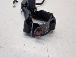KIA Optima Fibbia della cintura di sicurezza centrale (posteriore) 120113