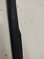 KIA Optima Rubber seal front door window/glass CW1100