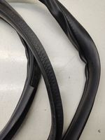 Mitsubishi Outlander Front door rubber seal 