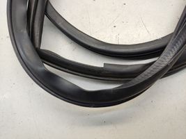 Mitsubishi Outlander Front door rubber seal 