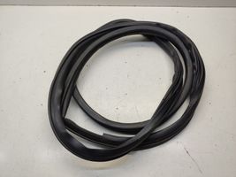 Mitsubishi Outlander Front door rubber seal 