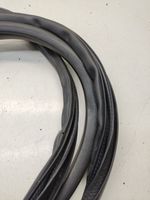 Mitsubishi Outlander Front door rubber seal 