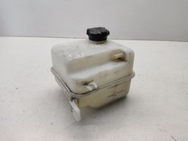 Hyundai ix35 Serbatoio di compensazione del liquido refrigerante/vaschetta 254302S000