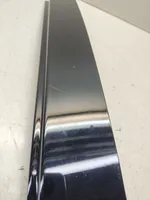 BMW 3 E46 Front door trim (molding) 