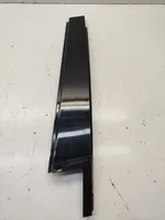 BMW 3 E46 Front door trim (molding) 