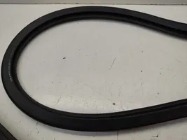 Audi A5 8T 8F Rubber seal front coupe door 8T0845353