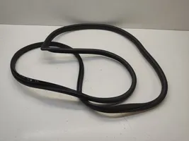 KIA Stonic Front door rubber seal 