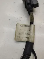 Ford C-MAX I Ignition plug leads 96555257