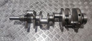 Dodge Challenger Crankshaft 