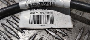 Volvo V60 Câble négatif masse batterie 31473981