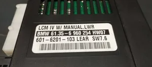 BMW X5 E53 Module d'éclairage LCM 6960254