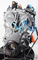 Ford Focus Moteur Y1DA