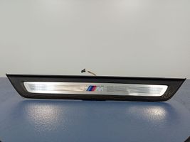 BMW 5 G30 G31 Rivestimento vano piedi laterale 8061056