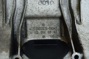 Mercedes-Benz S W220 Oil sump R1120140702