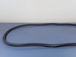 Seat Arona Front door rubber seal 01