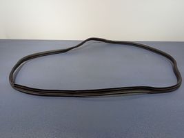 Hyundai Tucson IV NX4 Front door rubber seal 01