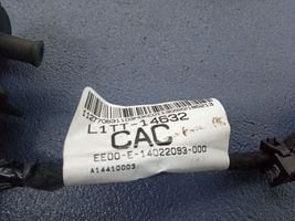 Ford Puma Otros cableados L1TT-14632