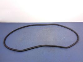 BMW X7 G07 Front door rubber seal 7431142