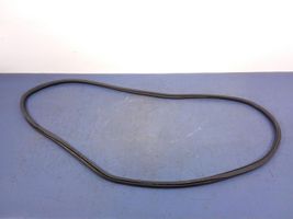 BMW X7 G07 Front door rubber seal 7431142