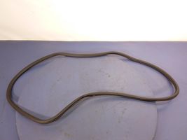 Opel Insignia A Front door rubber seal 13463862