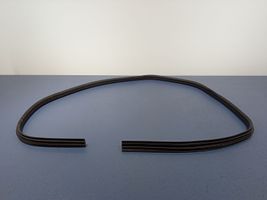 Ford Focus ST Front door rubber seal BM51A20530