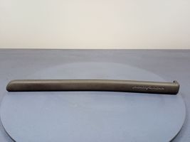 Peugeot 406 Verkleidung Schweller hinten 9616430977