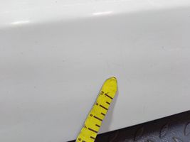 Ford S-MAX Takaluukun/tavaratilan kansi 01