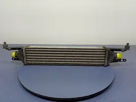 Fiat Punto (199) Chłodnica powietrza doładowującego / Intercooler 51836369