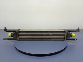 Fiat Punto (199) Radiatore intercooler 51836369