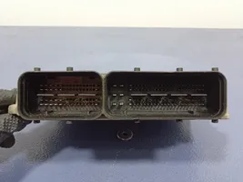 Hyundai Santa Fe Motorsteuergerät ECU 0281013584