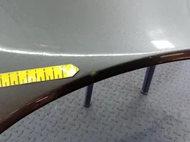 Volvo S40 Fender 01