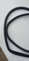 BMW X5 E70 Rubber seal rear door 10995810