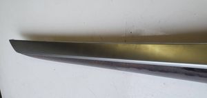 BMW X5 E70 Rear door card trim 4993200