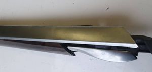 BMW X5 E70 Rivestimento della portiera posteriore 4993200