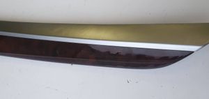 BMW X5 E70 Rear door card trim 4993100