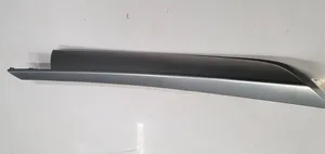 BMW X5 E70 Rear door card trim 4993201