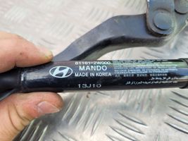 Hyundai Santa Fe Cerniere del vano motore/cofano 791602W000