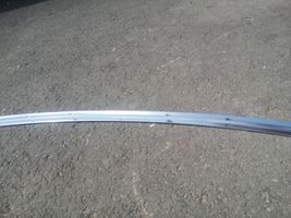 Mercedes-Benz S C217 Listwa dachowa A2176902904