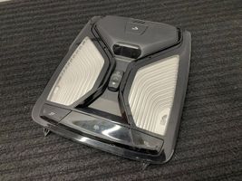 BMW X5 G05 Illuminazione sedili anteriori 7910960