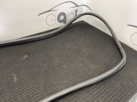 Mercedes-Benz GLE (W166 - C292) Guarnizione in gomma portiera anteriore A1666970051