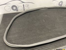 Mercedes-Benz C W205 Sandarinimo guma priekinių durų (ant kėbulo) A2056970051