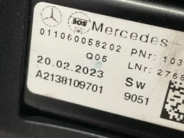 Mercedes-Benz E W213 Aizkars A2138109701