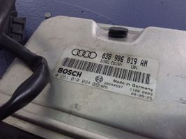 Audi A4 S4 B5 8D Altro tipo di cablaggio 038906019AN