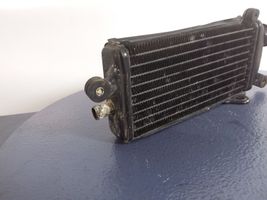 AC 428 Radiateur de refroidissement 122100-9741