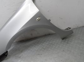 Peugeot 307 Fender 