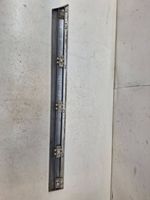 Mercedes-Benz S W220 Rear door trim (molding) A2206900762