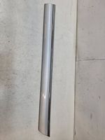 Mercedes-Benz S W220 Rear door trim (molding) A2206900762