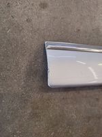 Mercedes-Benz S W220 Front door trim (molding) A2206900662