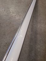 Mercedes-Benz S W220 Front door trim (molding) A2206900662